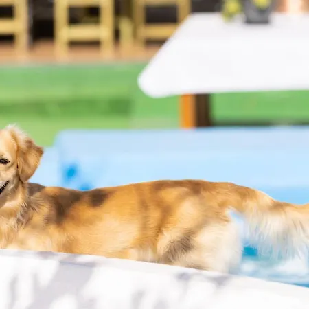 Сasa de vacaciones Mountain, Seaviews, And Pool Relax By Sunkeyrents Fasnia